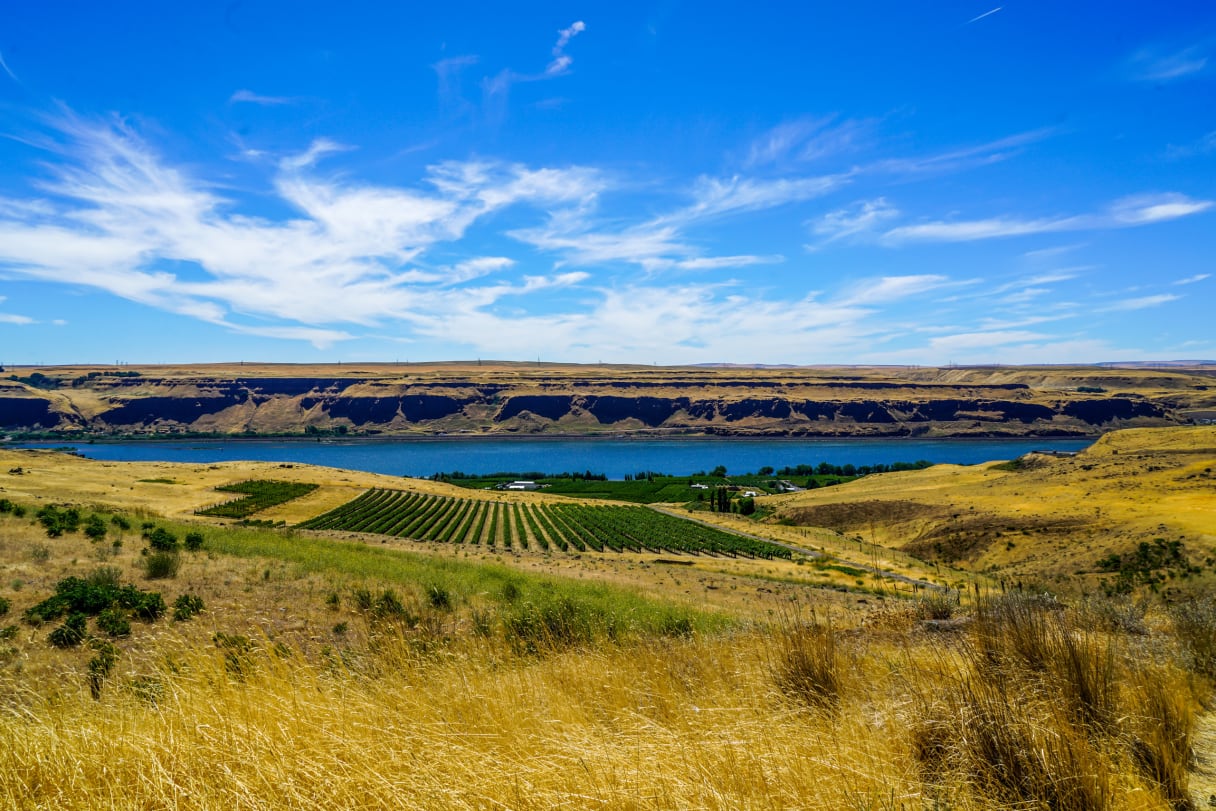 Wein aus Washington State, Verenigde Staten