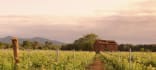 Rotwein aus Canberra, Australian Capital Territory, Australien, vinifikation