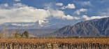 Rotwein aus Atacama, Chile, vinifikation