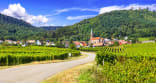 Wein aus Elzas, Frankrijk