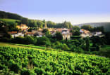 Wein aus Bourgondië, Frankrijk