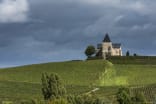 Wein aus Champagne, Frankreich