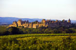 Wein aus Languedoc, France