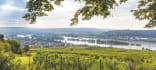Wein aus Rheingau, Deutschland