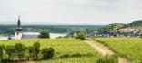 Wein aus Rheinhessen, Duitsland