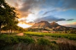 Wein aus Western Cape, Südafrika