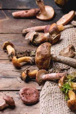 Wein passt Champignons