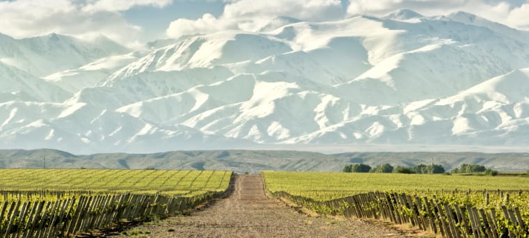 Rotwein aus Salta, Argentinië, vinifikation