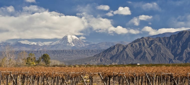 Rotwein aus Valle del Maule, Chile, vinifikation