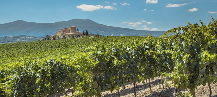 Rotwein aus Sud-Ouest, France, vinifikation