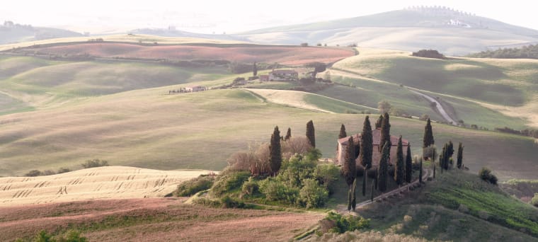 Wein aus Friuli-Venezia Giulia, Italië, vinifikation