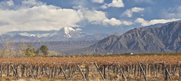 Wein aus Aconcagua, Chile