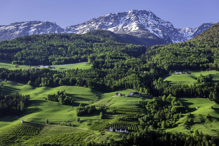 Wein aus Alto Adige, Italie