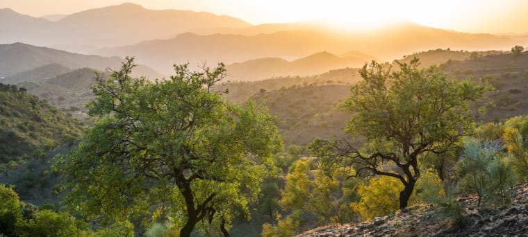 Wein aus Andalusië, Spanje