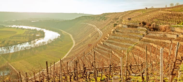 Wein aus Vallée Barossa, Australie
