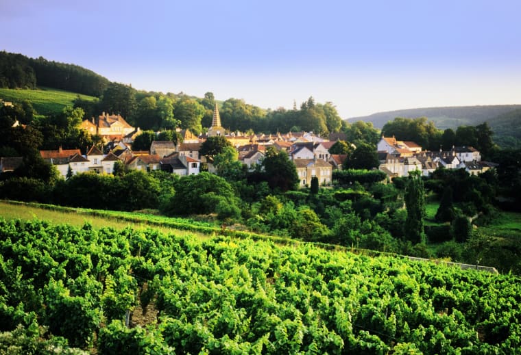 Wein aus Bourgondië, Frankrijk