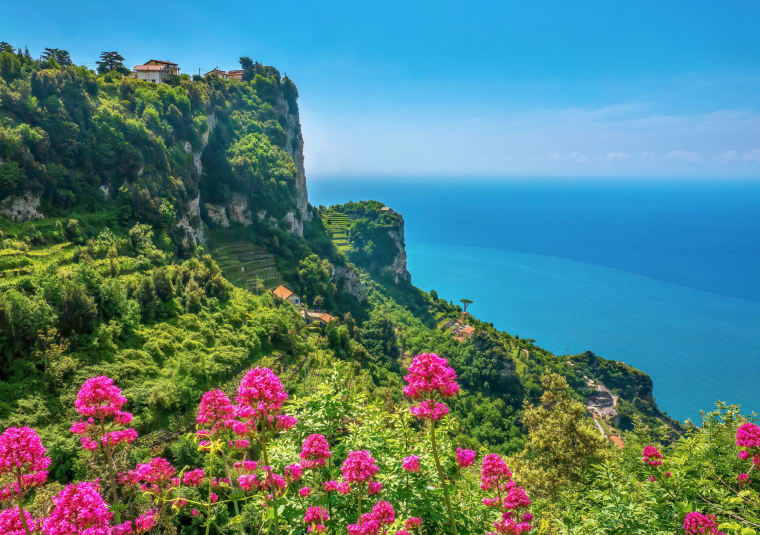 Wein aus Kampanien, Italien