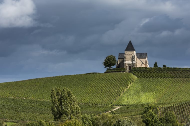 Wein aus Champagne, Frankreich