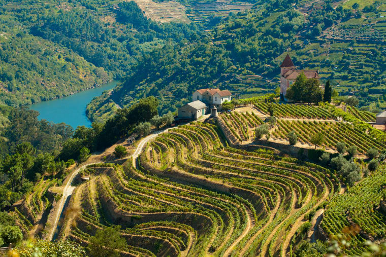 Wein aus Douro, Portugal