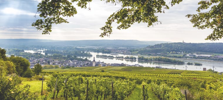 Wein aus Rheingau, Duitsland