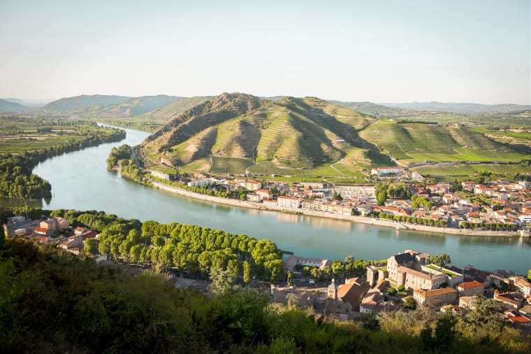 Wein aus Rhône, Frankrijk