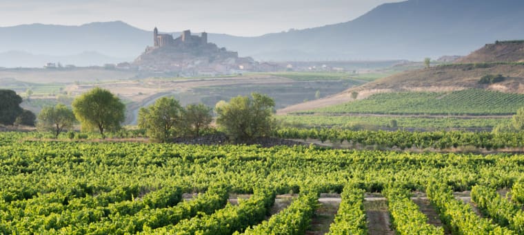 Wein aus Ribera del Duero, Spanje