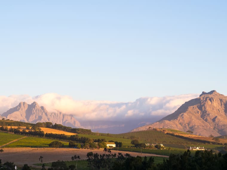 Wein aus Swartland, Zuid-Afrika