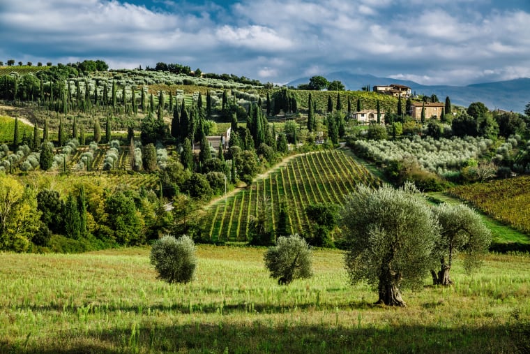 Wein aus Toskana, Italien