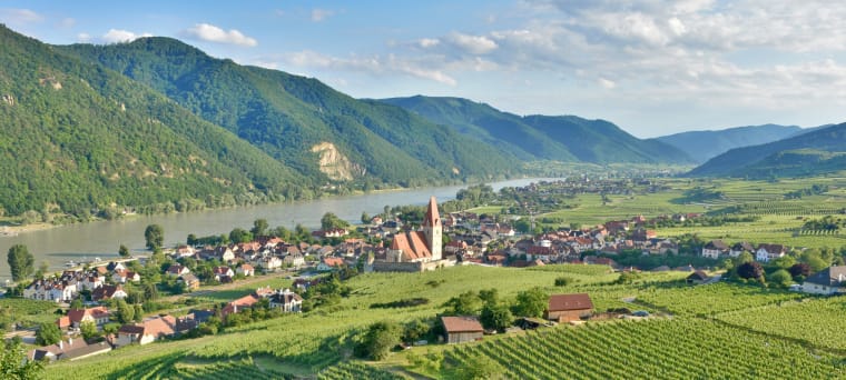Wein aus Wachau, Autriche