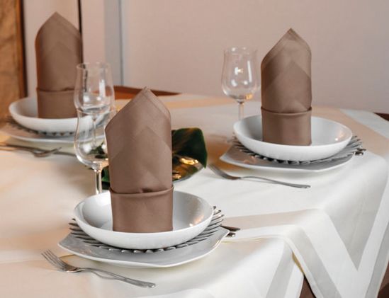 Serviette Atlaskante mit 2 Webkanten und 2 Säumen Bild 1