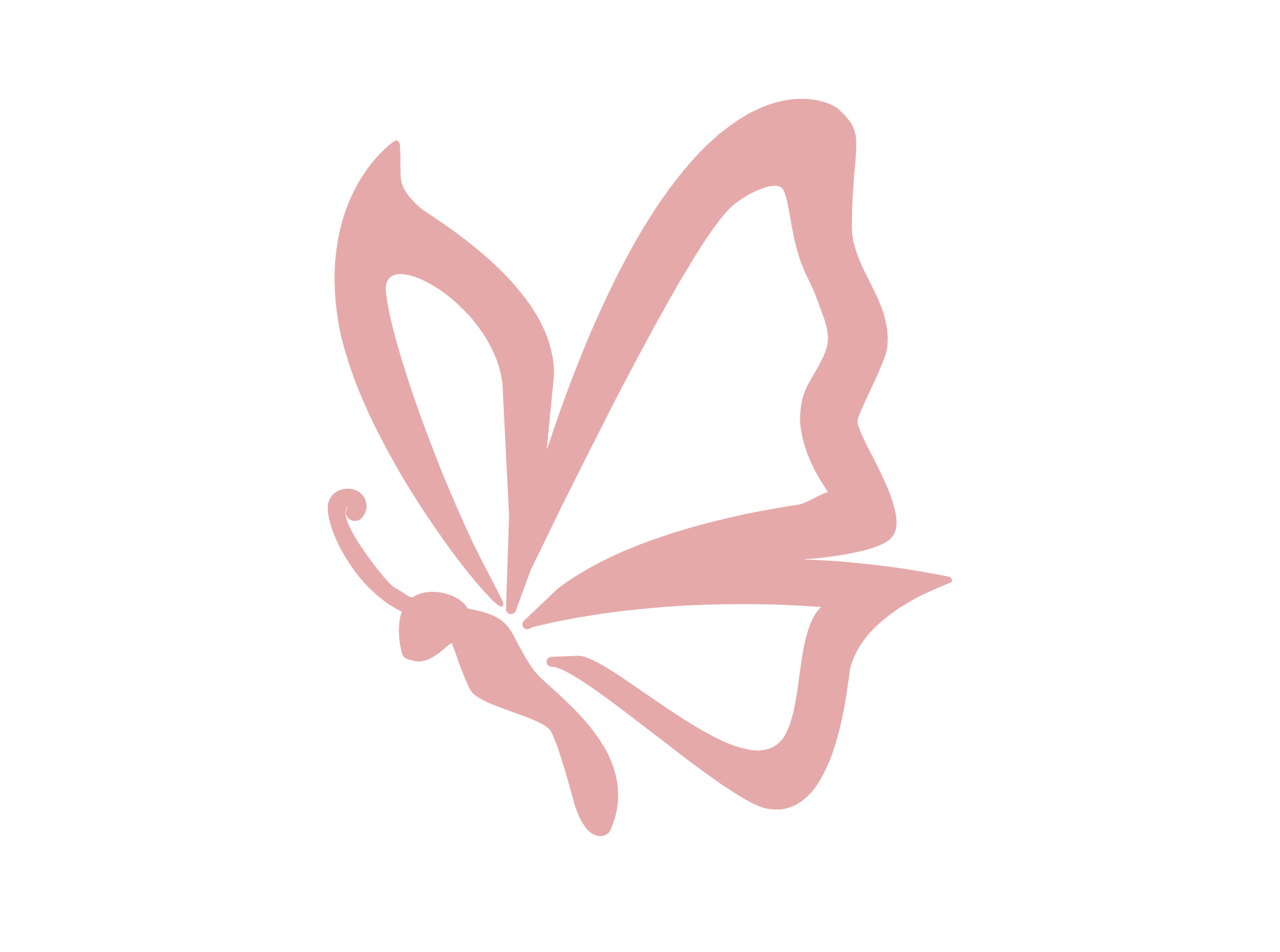 Butterfly Decor