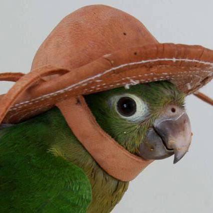 //res.cloudinary.com/wickedsites/image/upload/petal_marketing/prod/avatars/23079