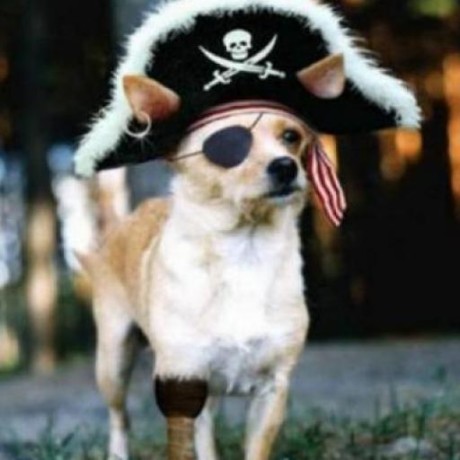 //res.cloudinary.com/wickedsites/image/upload/petal_marketing/staging/avatars/12