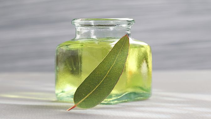 Manfaat Minyak Kayu Putih Aromatic
