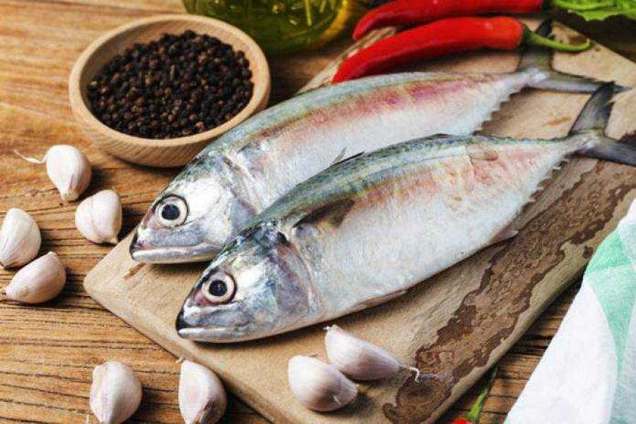 5 Manfaat Protein Ikan untuk Kesehatan Tubuh