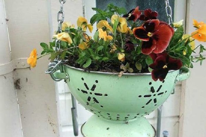 6 Inspirasi Pot Bunga dari Barang Bekas