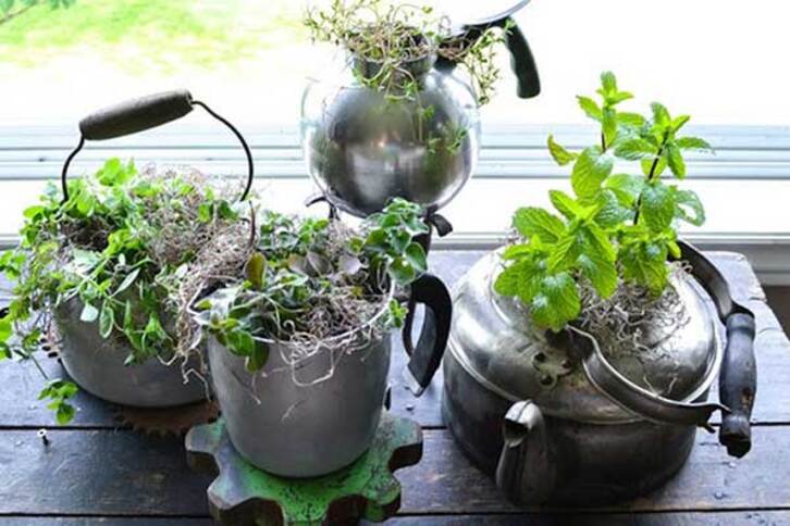 6 Inspirasi Pot Bunga dari Barang Bekas