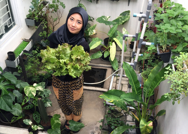 Hari Cinta Puspa dan Satwa Nasional (HCPSN): Manfaat Memiliki Tanaman di Rumah
