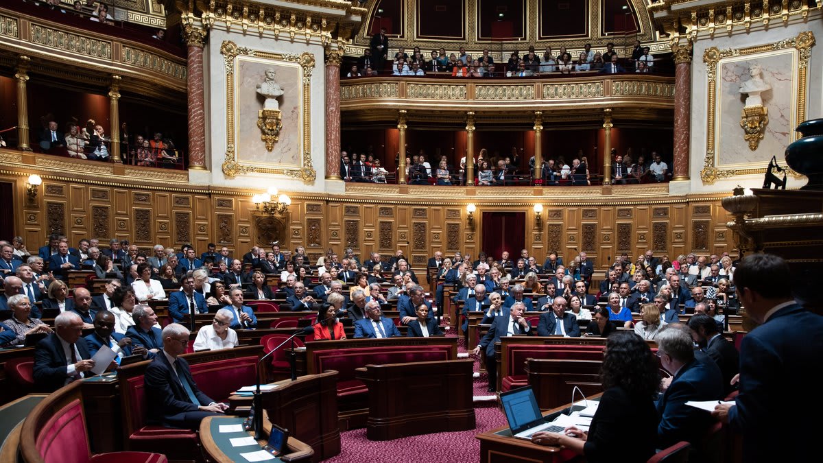 Élections sénatoriales : un scrutin décisif pour l'équilibre institutionnel avant la présidentielle de 2027