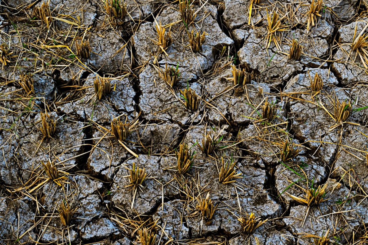 Plan CASI : un milliard d'euros pour réarmer l'agriculture française face au climat