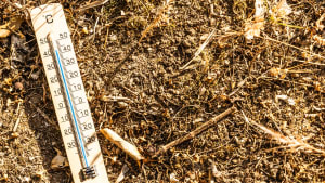 Canicule : sept départements du Sud placés en vigilance orange par Météo-France