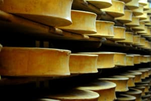 Sécheresse : dérogations accordées aux producteurs de comté, beaufort et abondance
