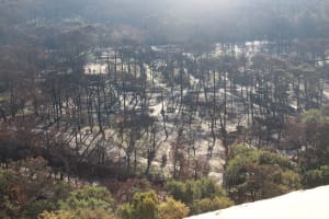 Campings de la Dune du Pilat après l'incendie de juillet 2022 dans les Landes