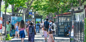 Avignon : le nouveau maire Olivier Galzi réoriente la politique de mobilité et de végétalisation