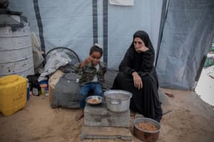 Un quart des foyers de Gaza sont désormais dirigés par des femmes