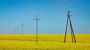 Agriculture française : les enjeux et les risques de l'intégration de l'Ukraine dans l'UE