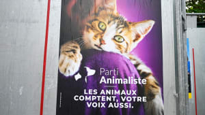 Présidentielle 2027 : le Parti animaliste désigne Mira Markovic comme candidate
