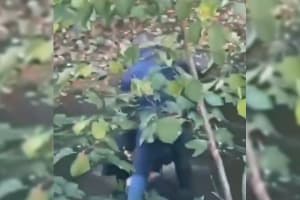 Belfort : deux suspects arrêtés après le lynchage d'un commandant de police