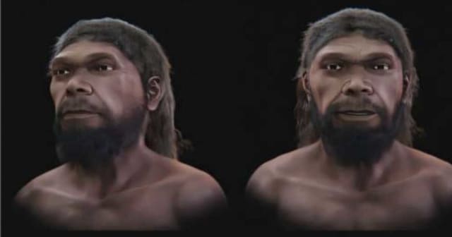 Préhistoire : le visage d’un Homo sapiens de 315 000 ans reconstitué en 3D