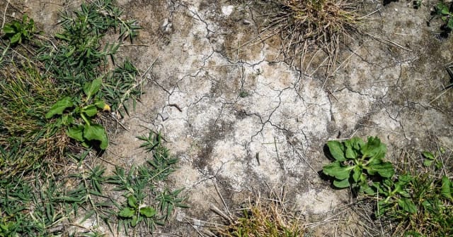 Sécheresse en Mayenne : vers un risque réel de pénurie d’eau potable jusqu’en octobre